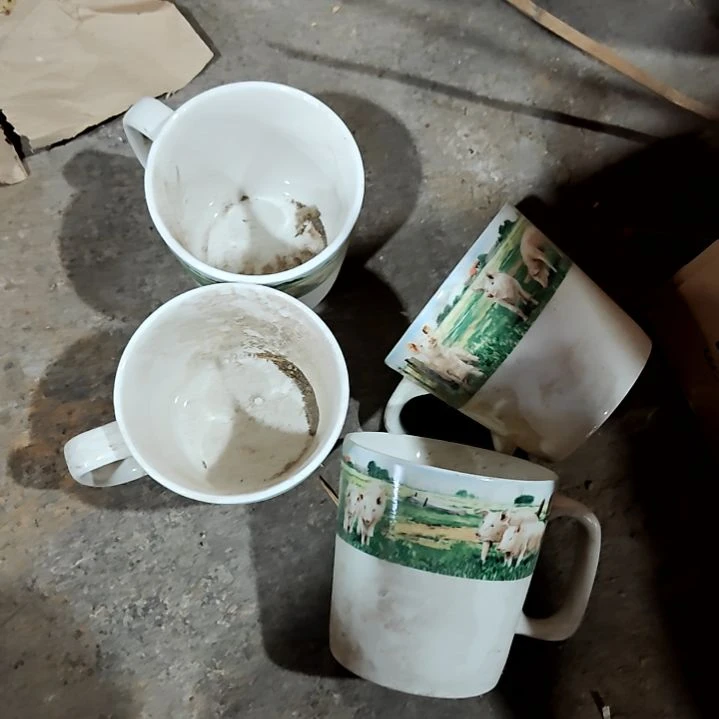 瓷片盘子碗茶壶啥都有