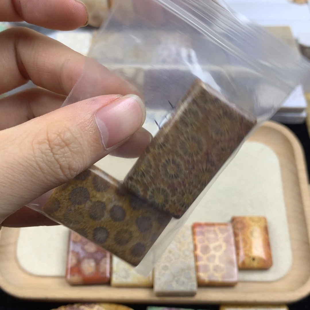 硅化珊瑚（珊瑚玉）无未镶嵌ℒ****