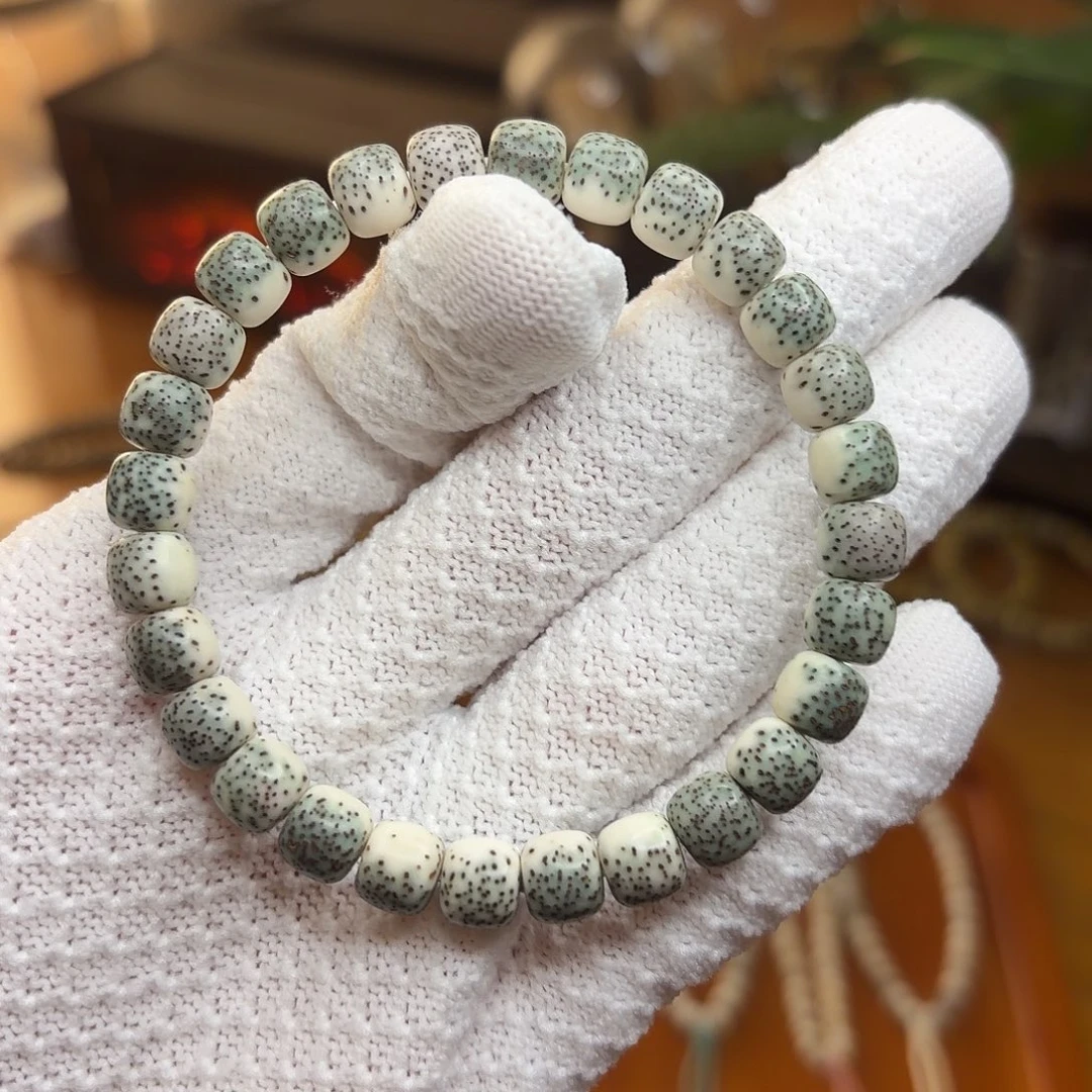 开播福利87绿背小河豚