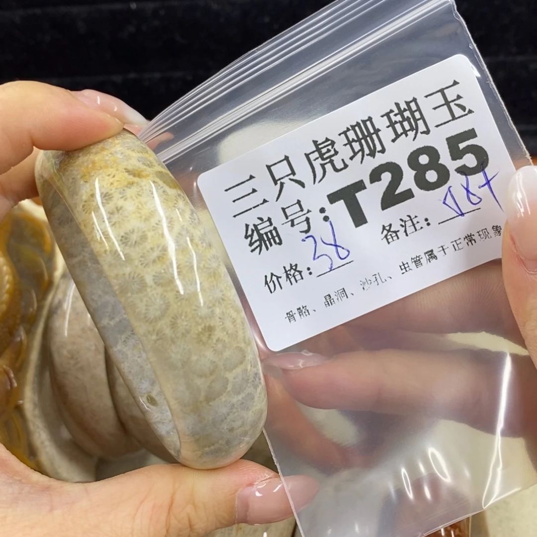 硅化珊瑚（珊瑚玉）1未镶嵌嗨**耶