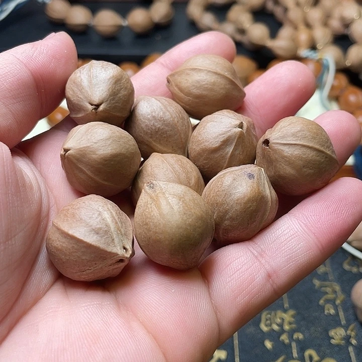 橄榄核手串/手链你**心22/26 三花铁核10颗