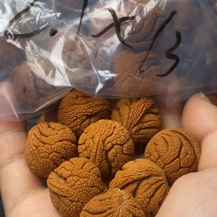 吊坠桃核秦岭山野生桃核