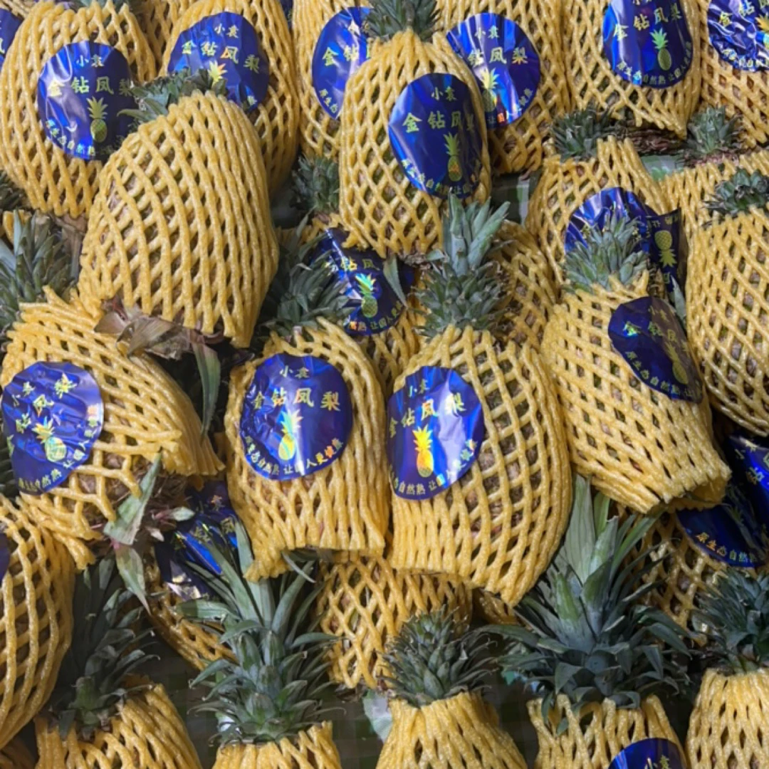 海南凤梨整果约2.5斤