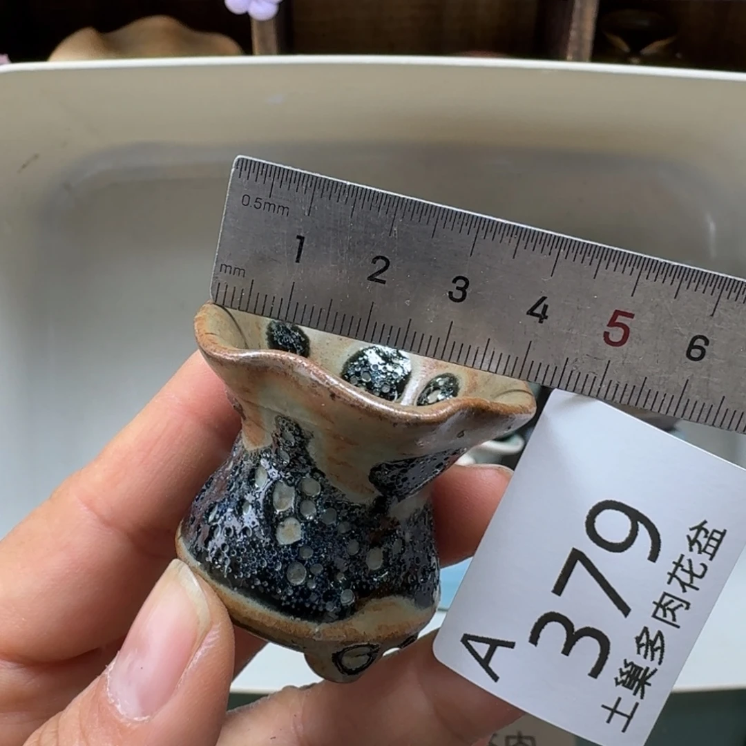 迟***早陶瓷艺术品设计与制作