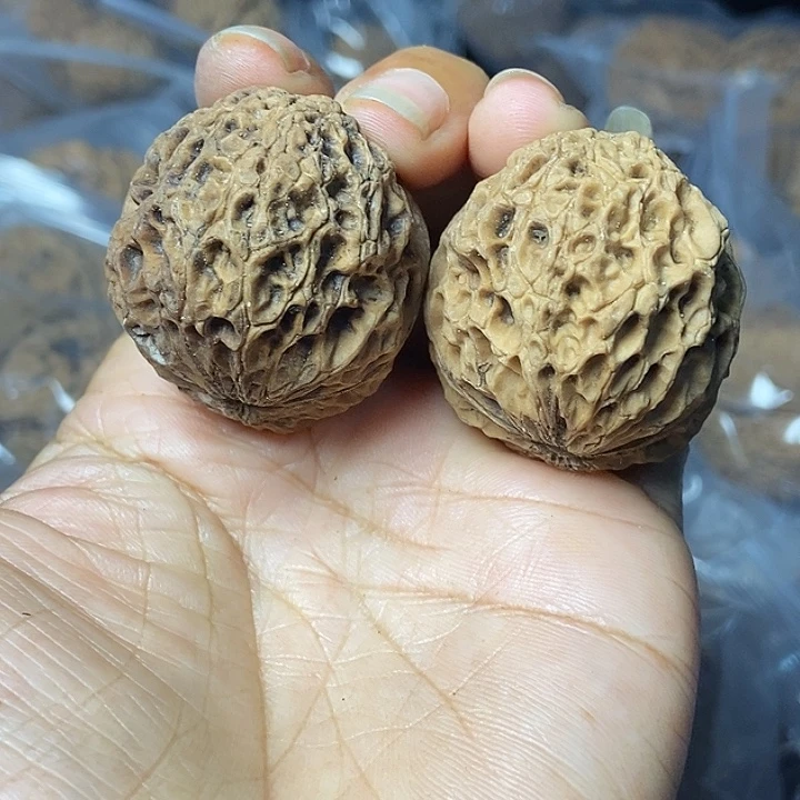 文玩核桃把件云南铁核桃基地24