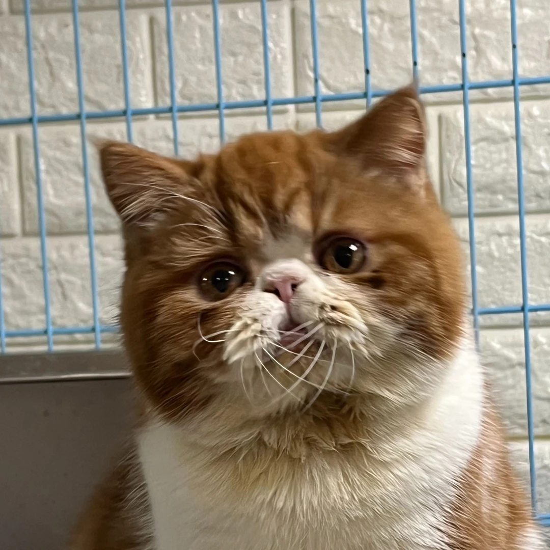 来了姊妹-红白异短吗-弟弟-3303