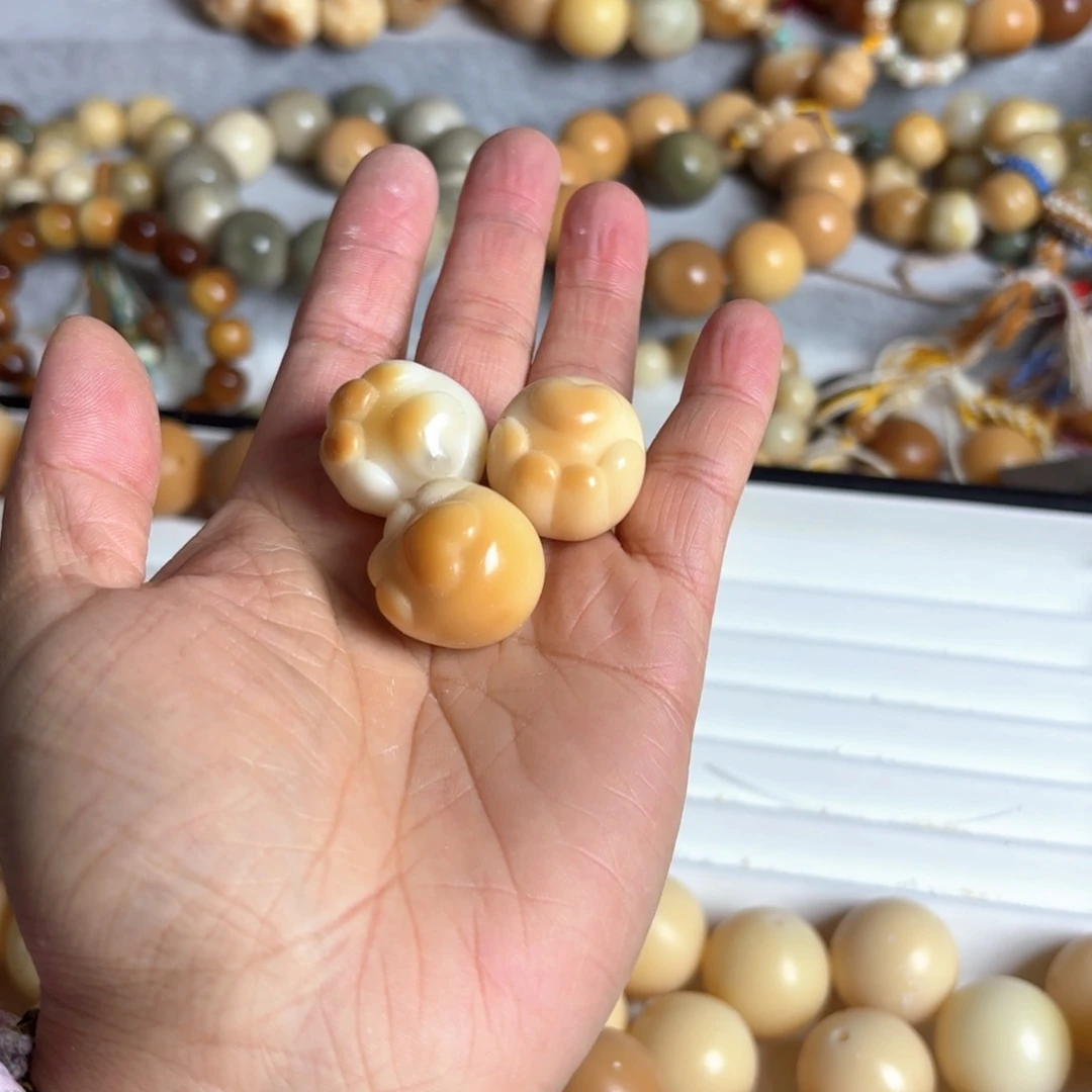 菩提根/象牙果手串E***.猫爪