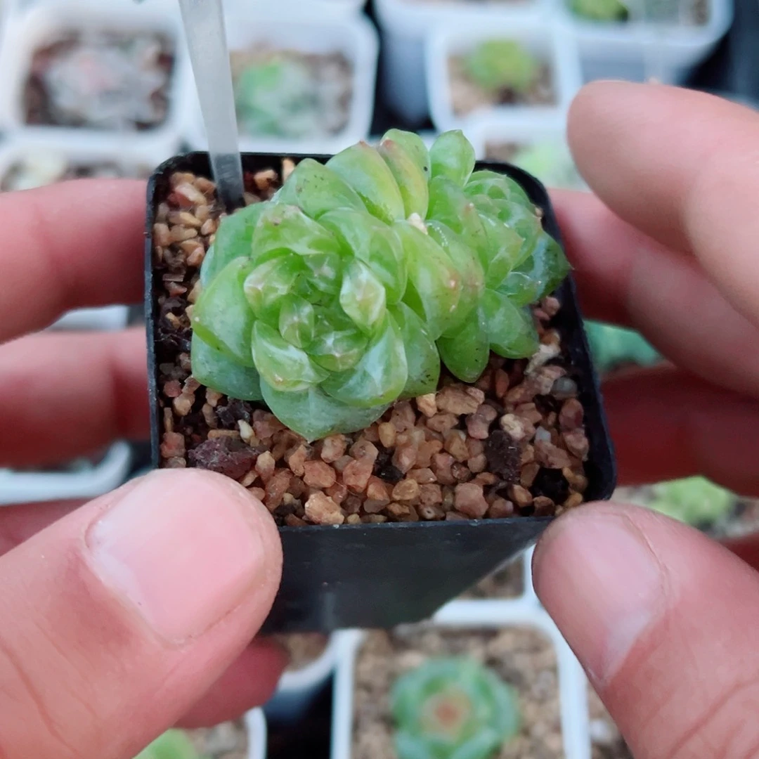 312哈哈哈哈哈哈哈哈