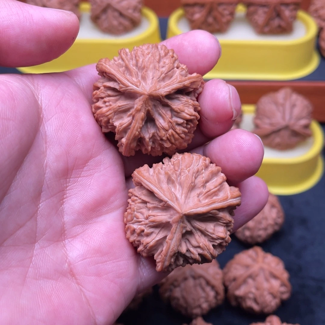 手串/手链核桃玉龙粗筋三棱全品41尺