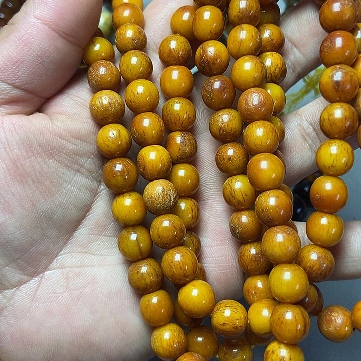 大果紫檀（缅甸花梨）