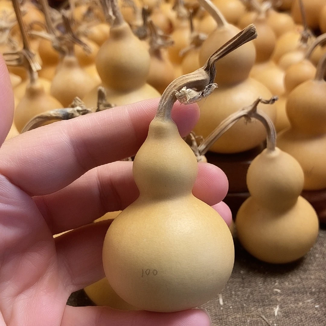 文玩葫芦 完美主义者 慎拍100