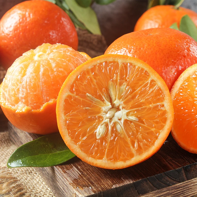 【老树花皮果 口感很甜】广西正宗武鸣沃柑新鲜水果现摘现发 9斤