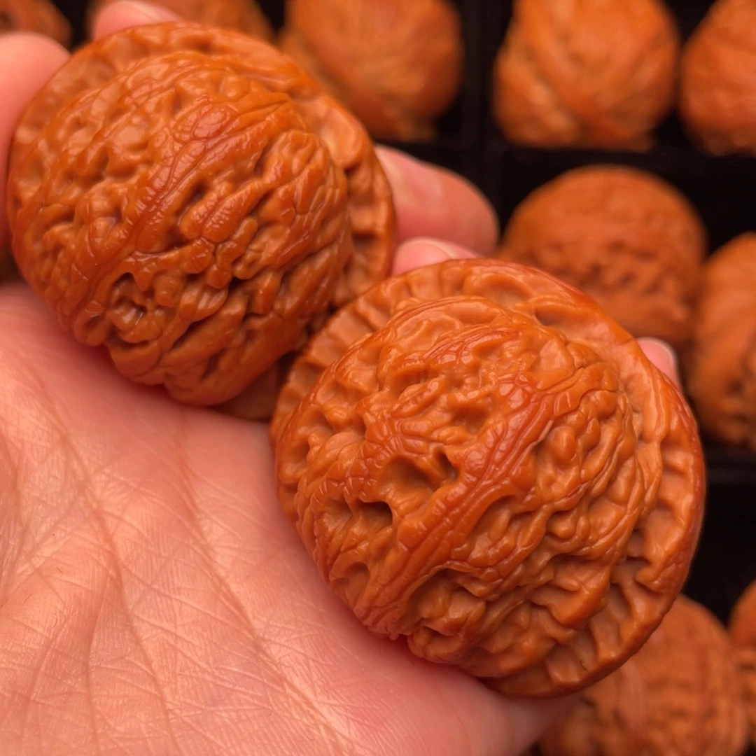 秦岭野生核桃文玩