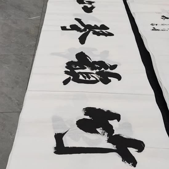 翰墨申国栋老师作品一副