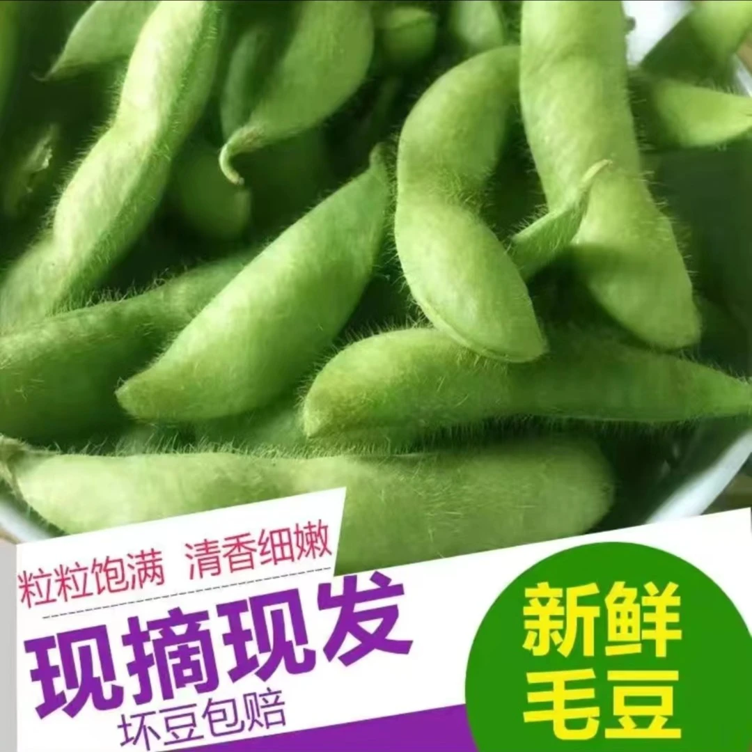 （顺丰包邮）新鲜毛豆露天种植应季蔬菜软糯香甜现摘先发3/5斤包邮