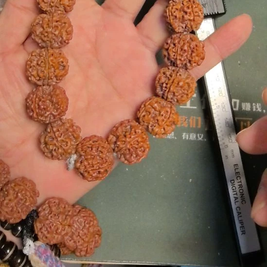 金刚菩提把件原生态的大金刚手持，22左右尺寸，精挑细选。打好底的