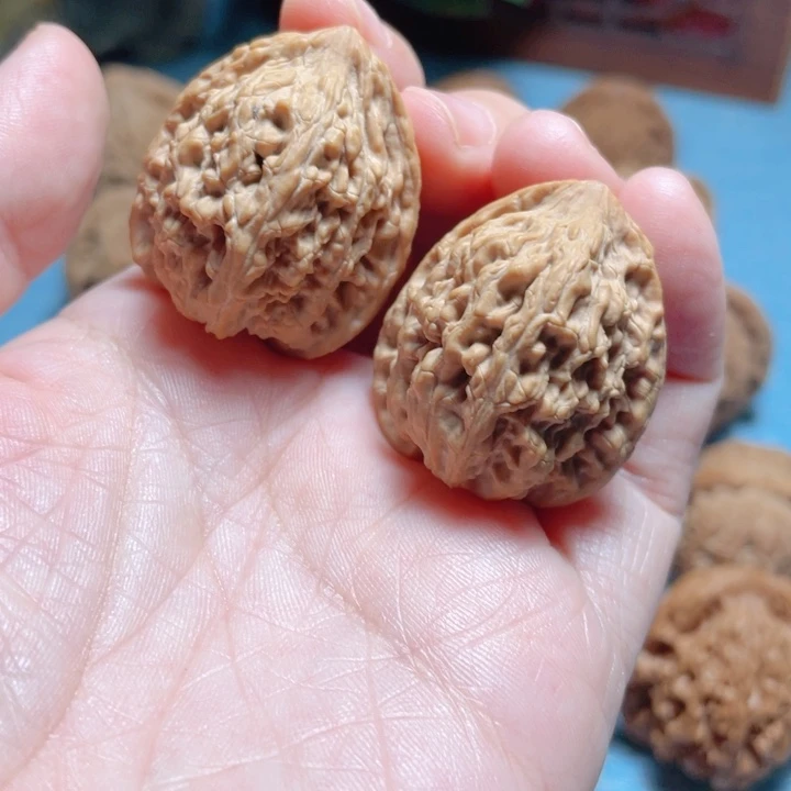 唐*魔28尺寸野生手捻骨质棒