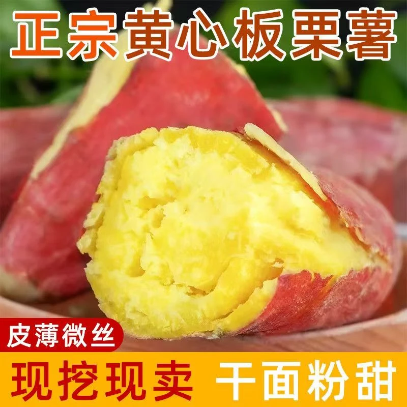 【买三斤送两斤】新鲜现挖现发粉糯香甜正品正宗板栗红薯5斤包邮