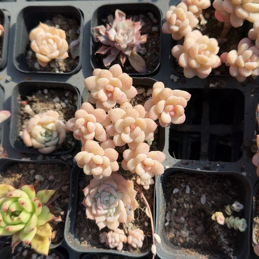 Y*满20包邮零下拍保温箱