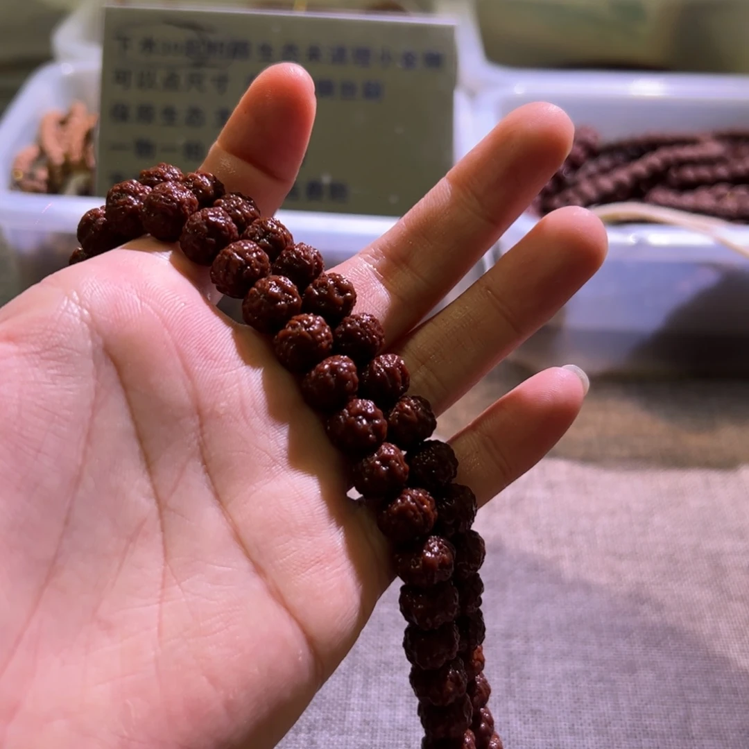 金刚菩提吊坠树王10.3m