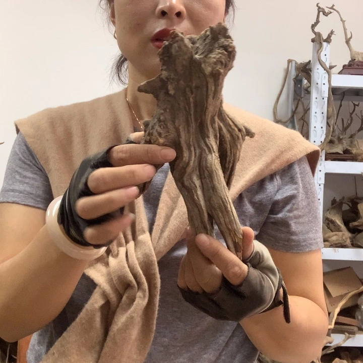 木太行崖柏毛料板根