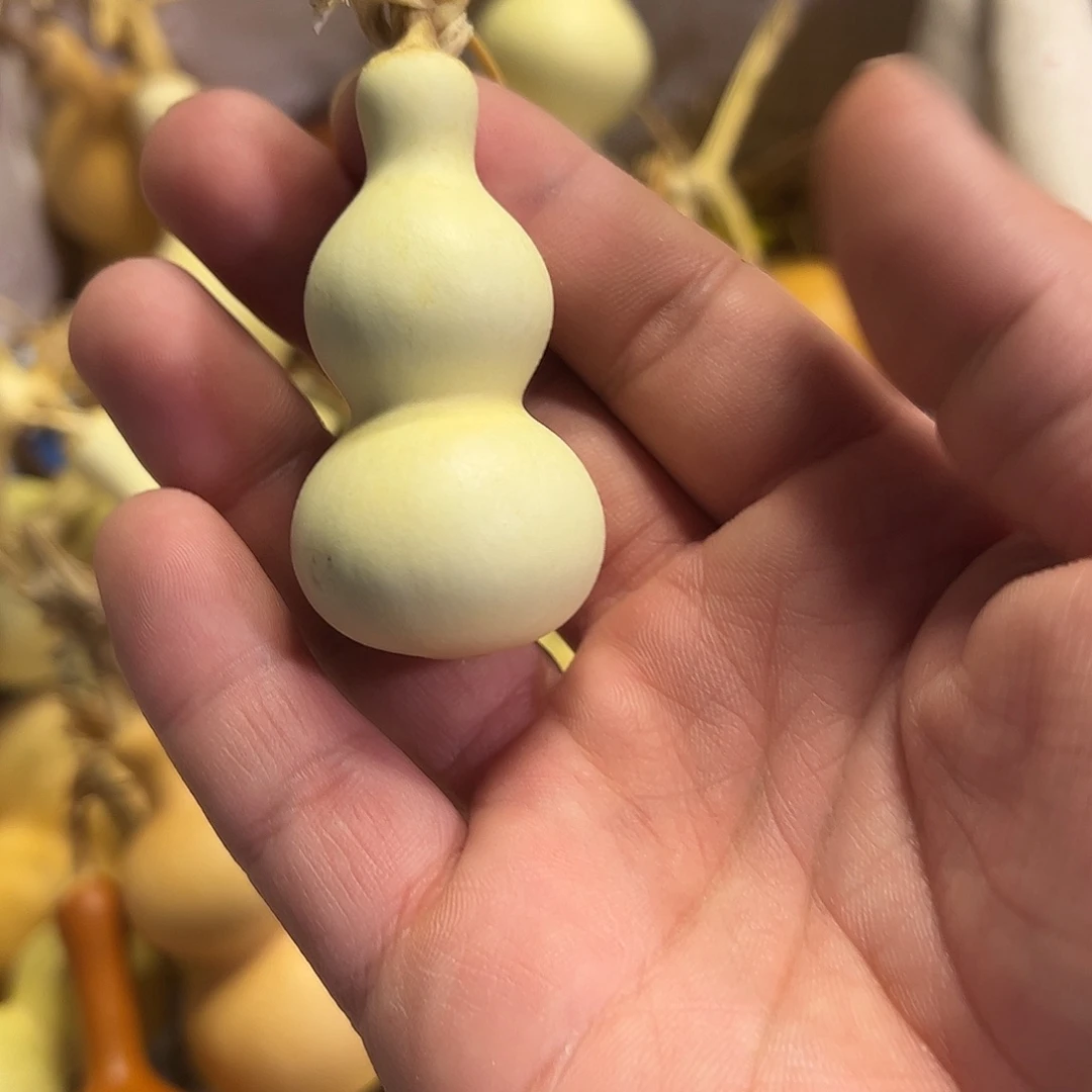 D****蚂蚁蚂蚁蚂蚁蚂蚁