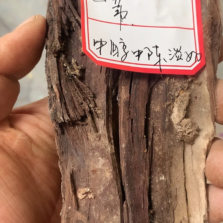 一***江大叶紫檀（黑酸枝木类）