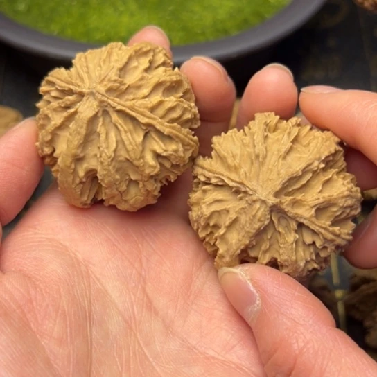 文玩核桃把件秦岭核桃10