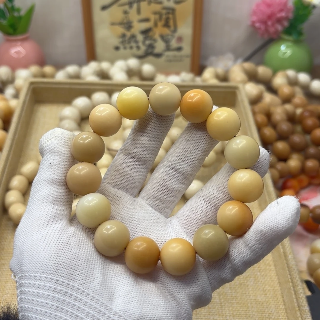 吊坠菩提根/象牙果17干磨瑕疵落地果577