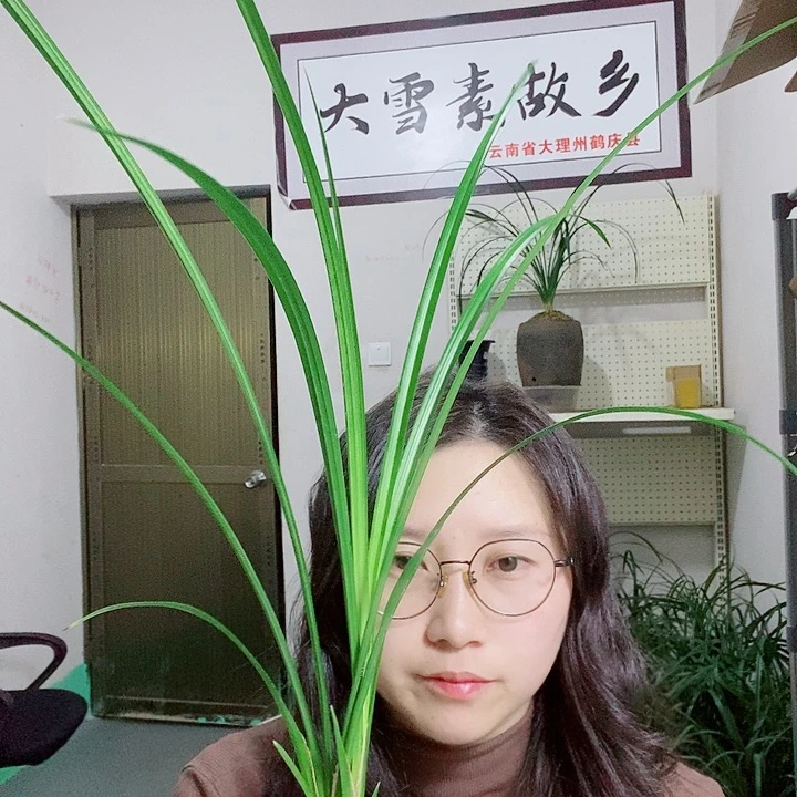 完全开放大雪素大雪素