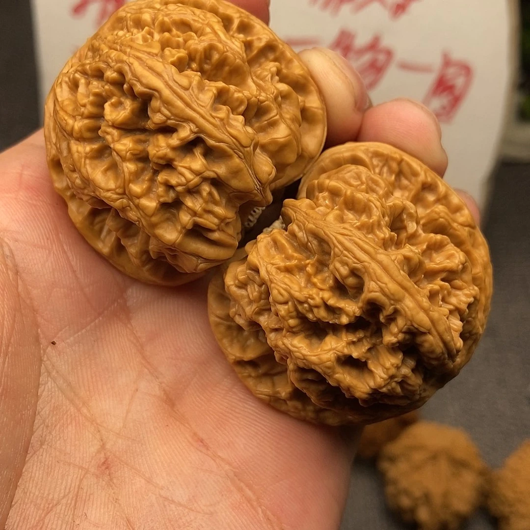 核桃粗筋43尺寸编号0556