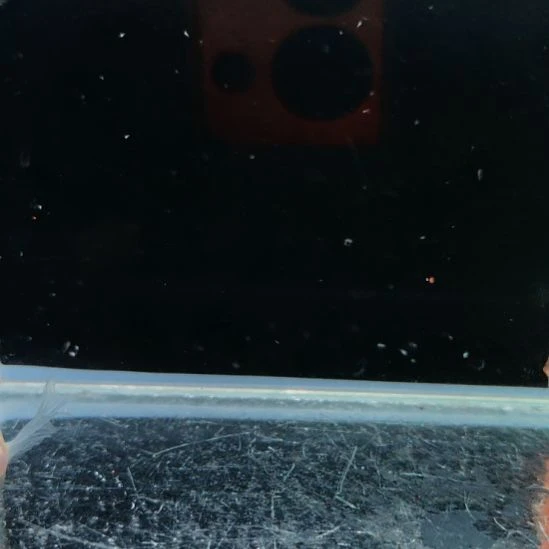 孔雀鱼米卡立夫大c一对