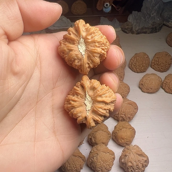 三角小秘闻狮子头