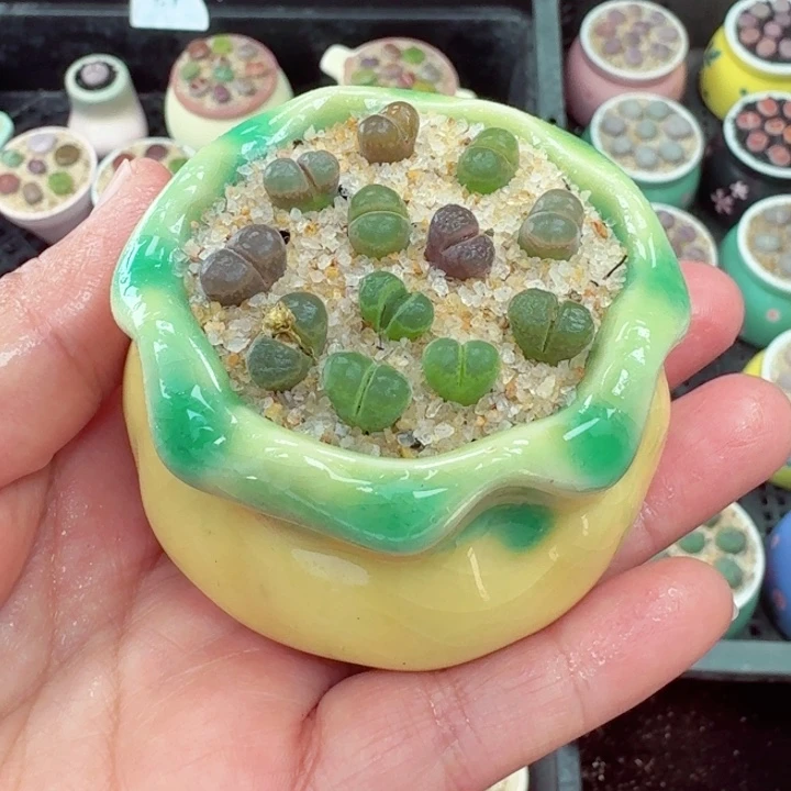 317凑满18包邮哦零下拍保温箱