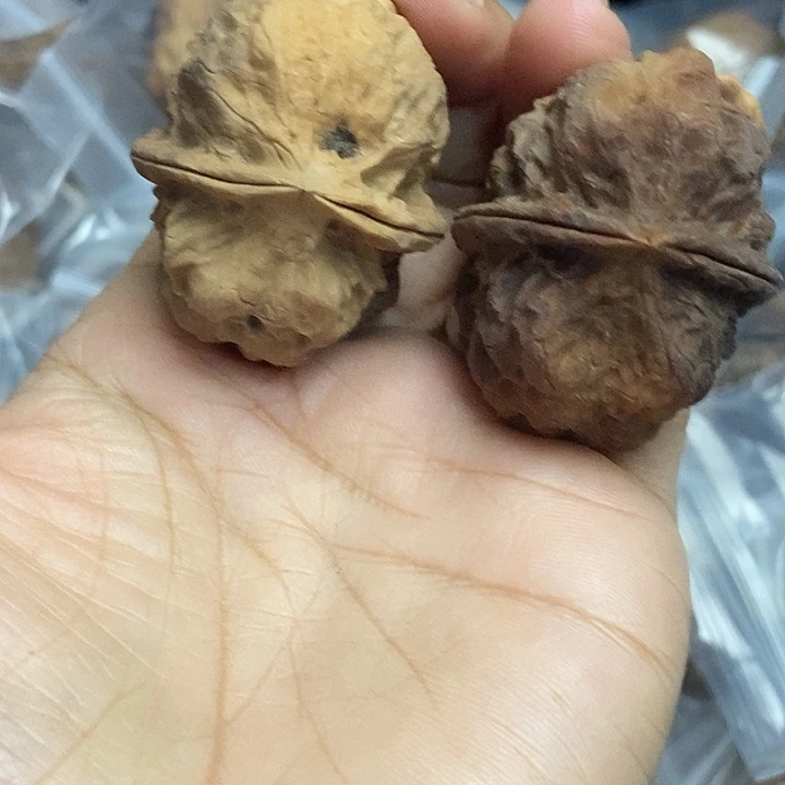 文玩核桃把件云南铁核桃基地82