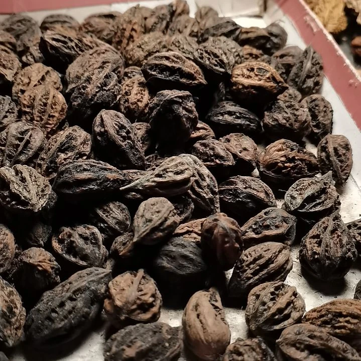 文玩核桃手串三****火东北秋子异型27