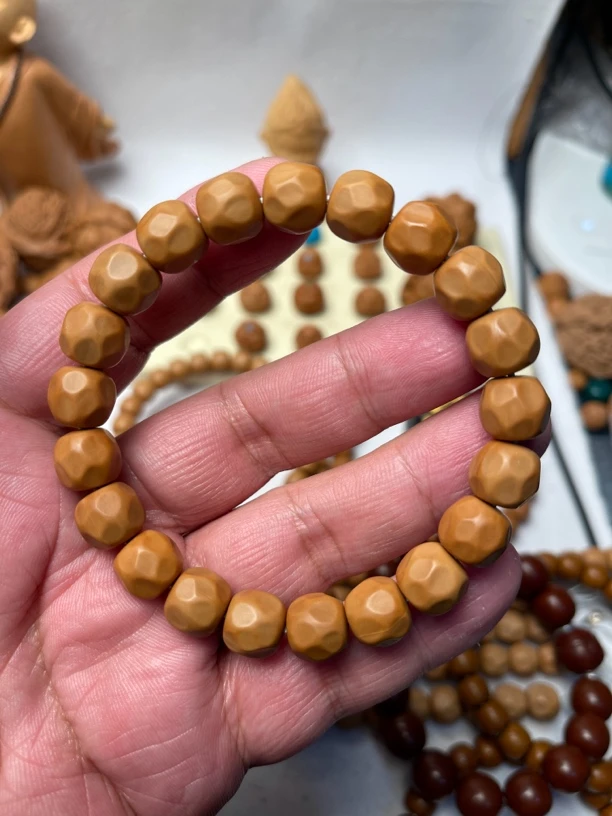 猴头龙岩奶酪，毕业货