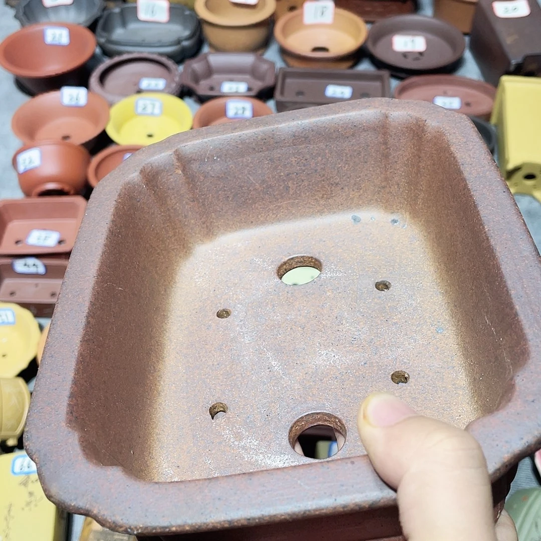 紫砂小盆19*14*5cmm