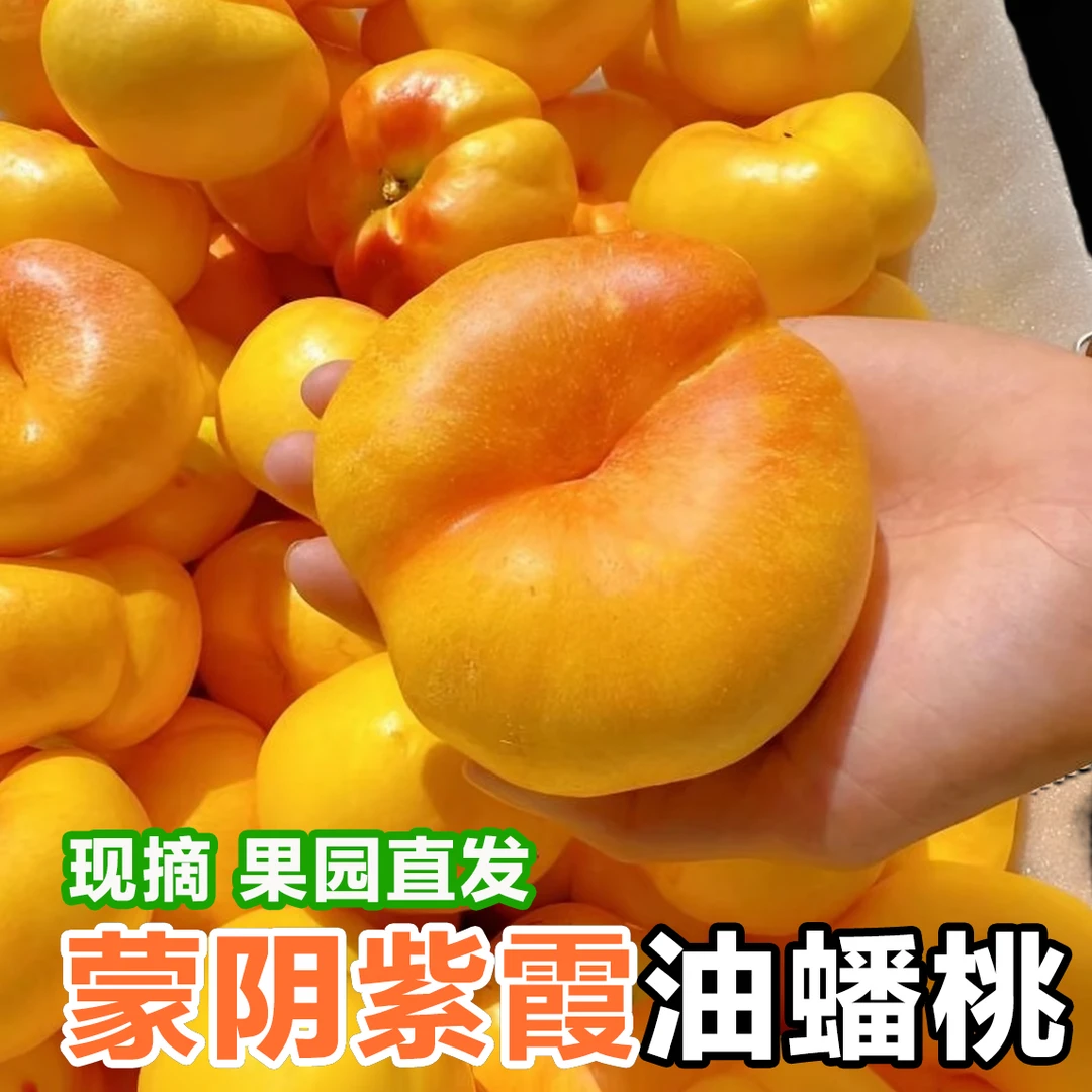 山东蒙阴紫霞油蟠桃彩虹油蟠桃新鲜应季皮薄甜嫩多汁2-4斤尝鲜