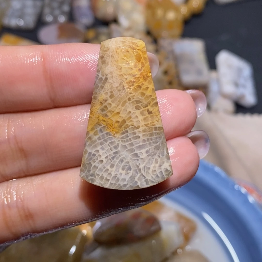 【闪购商品】未镶嵌珊瑚玉硅化玉