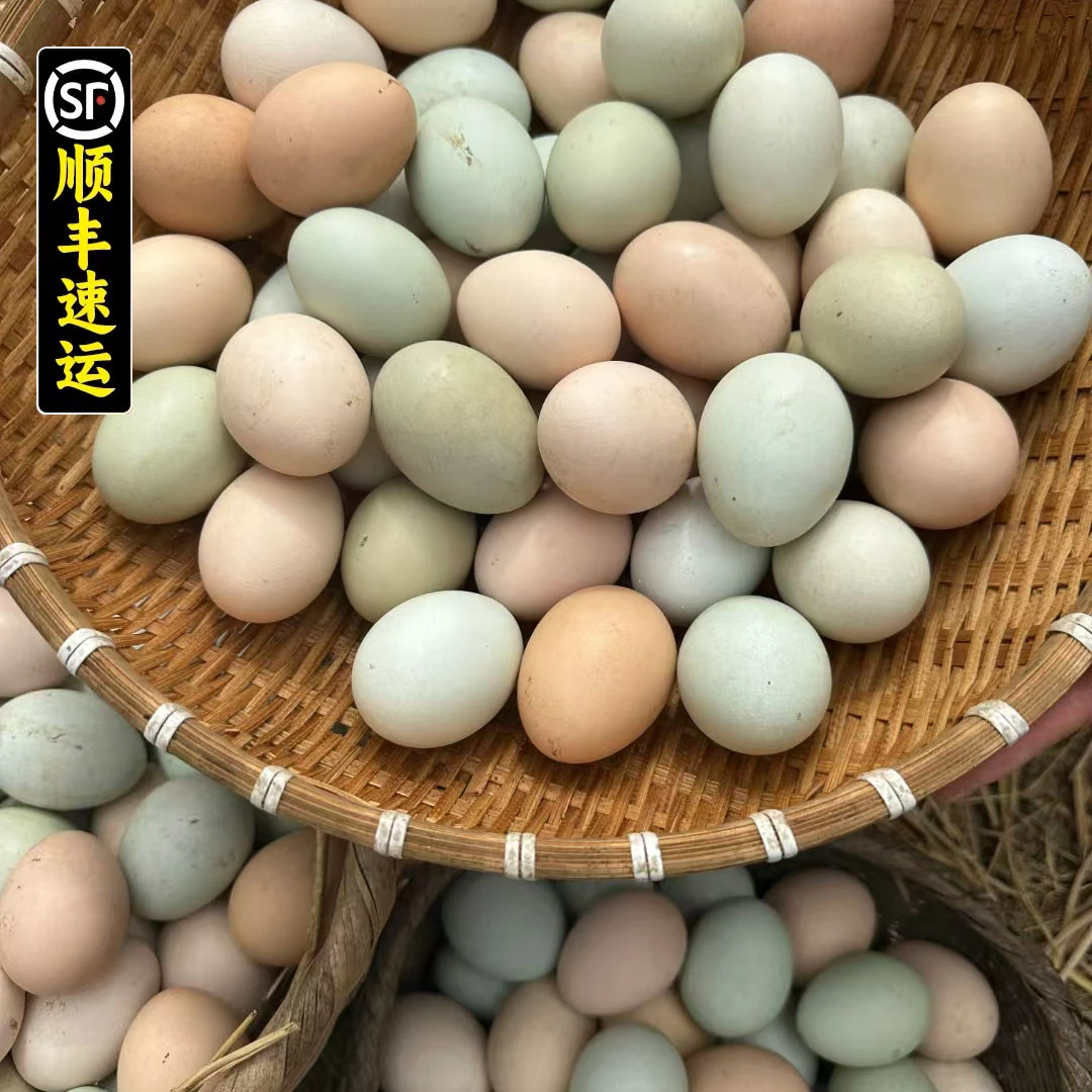 大别山散养土鸡蛋到手40个顺丰包邮