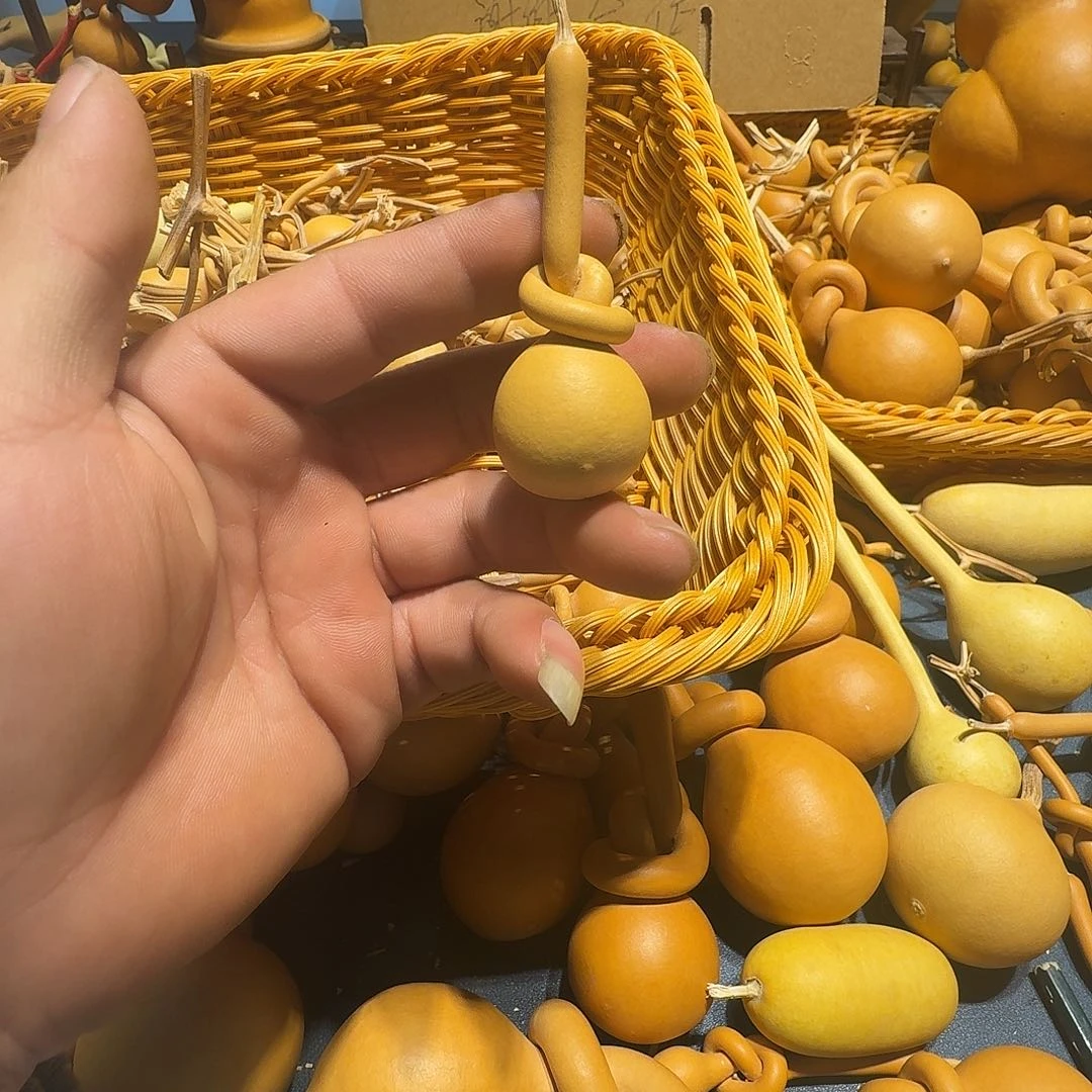 h***i葫芦丝也可以的吗这