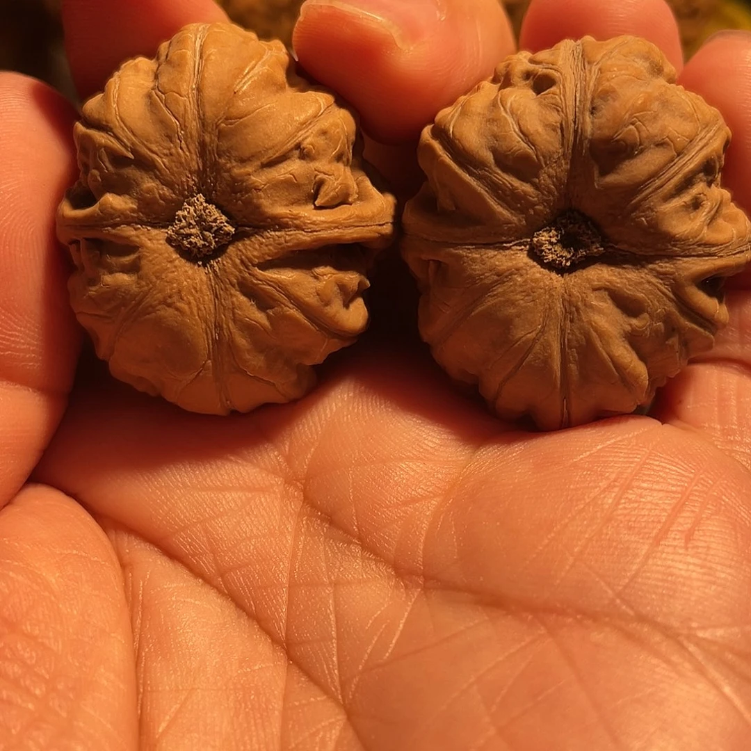 吊坠文玩核桃金钱底