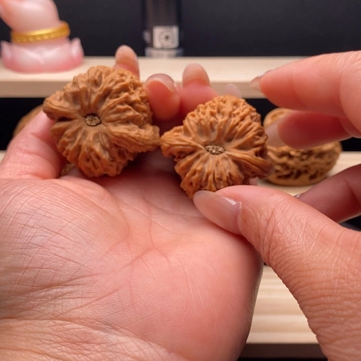 木质189号天眼凹底拉丝感染