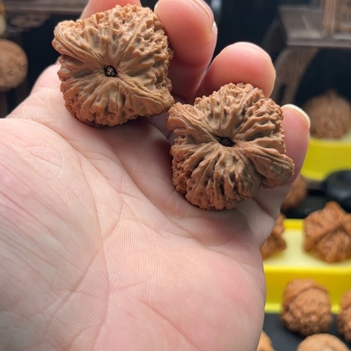 文玩核桃吊坠sgjkvhkkgvk