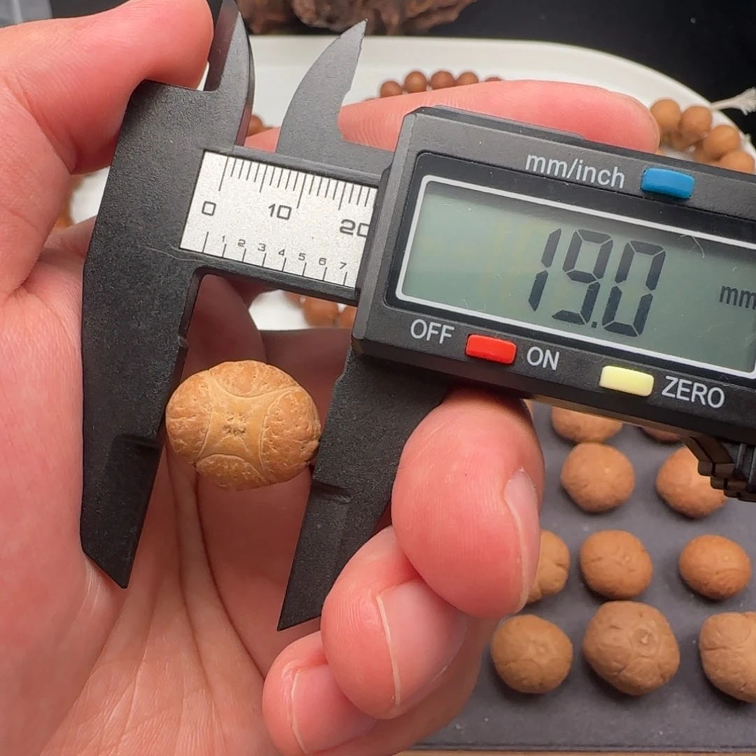 吊坠麒麟眼菩提清仓款麒麟