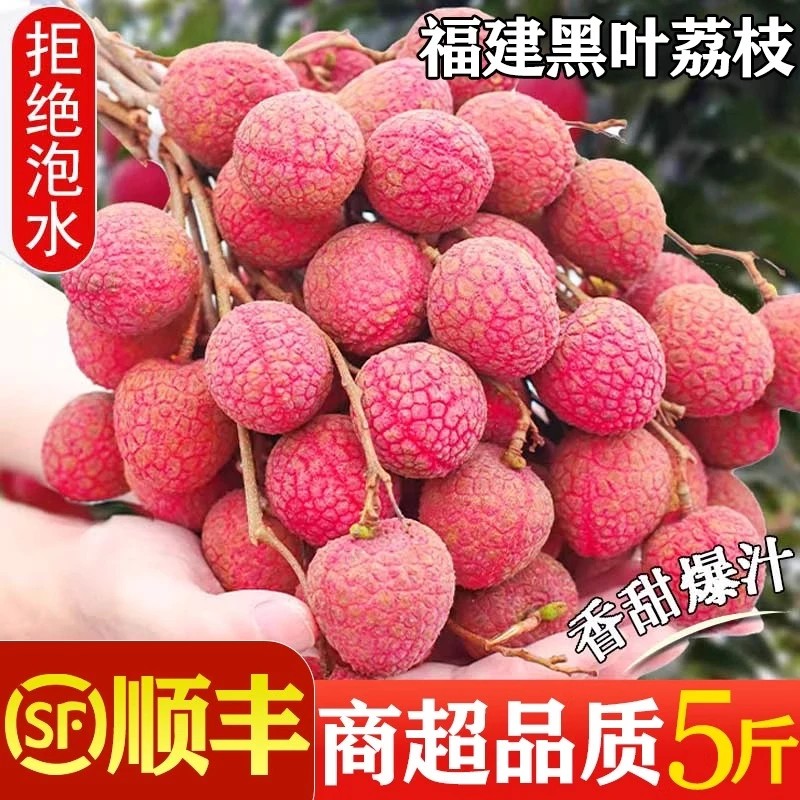 福建漳州老树白糖罂黑叶荔枝新鲜现摘当季水果多汁爆甜爆汁5斤