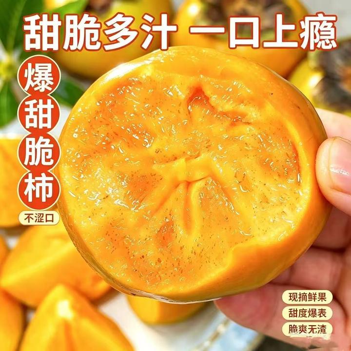 【阳丰脆柿】山西运城阳丰巧克力脆柿脆甜爽口当季新鲜水果冰糖心