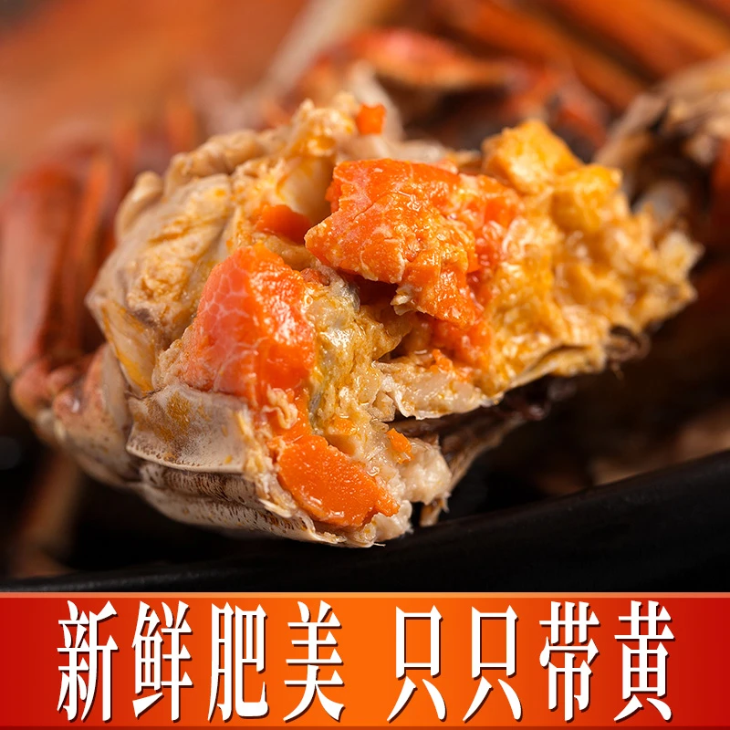 【活蟹】江苏大闸蟹公母混搭公4-3.7两母3.2两买6送4共10只（少爪）