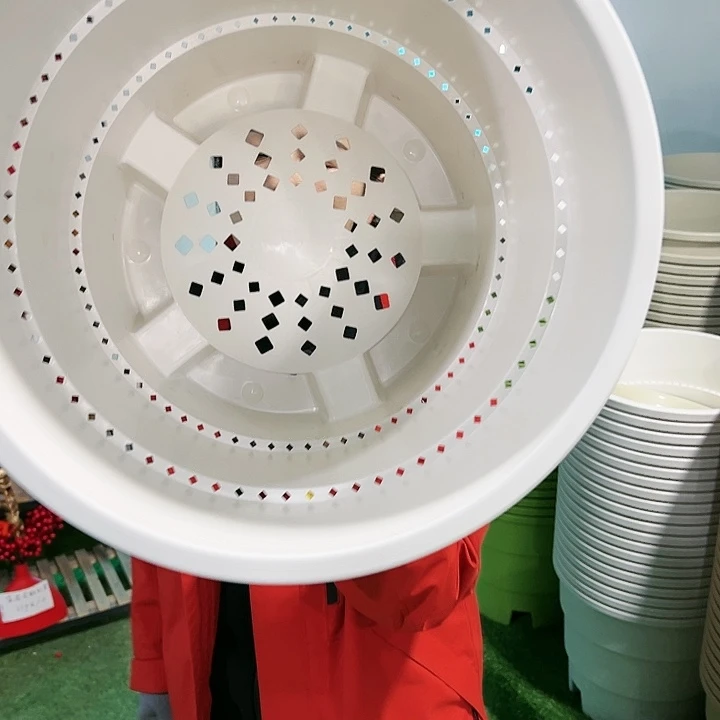 正品蓝莓盆口39高33白色无托3只